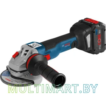 Угловая шлифмашина Bosch GWS 18V-10 C Professional (06019G310D) (с 2-мя АКБ, кейс)